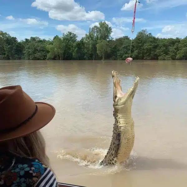 Choosing Your Croc Cruise