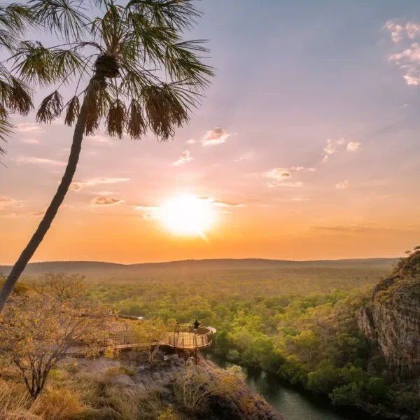 Crocodiles in the Northern Territory
