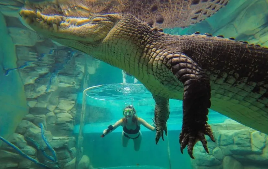 Crocosaurus Cove Cage of Death