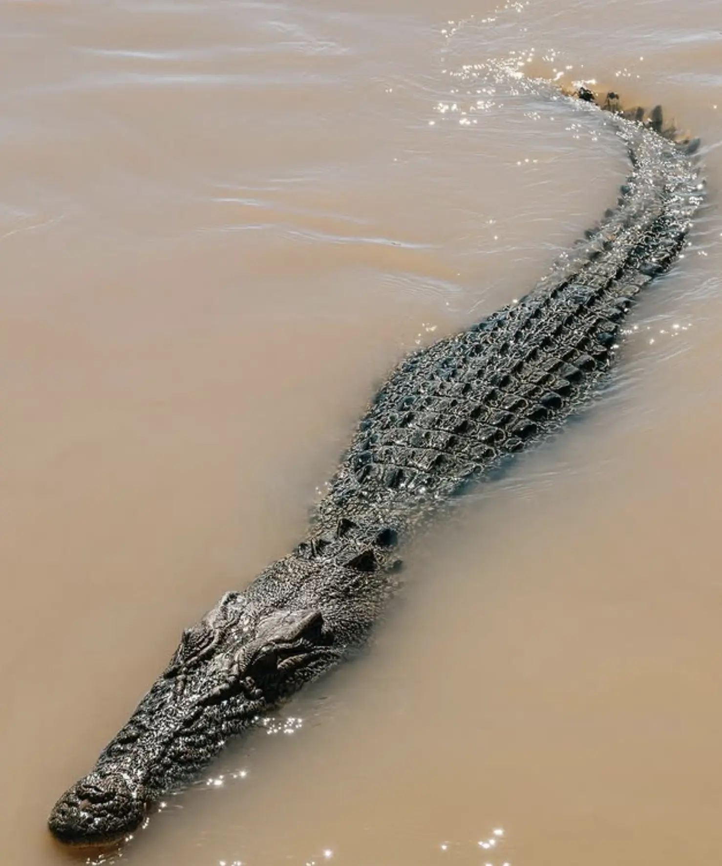adelaide river australia