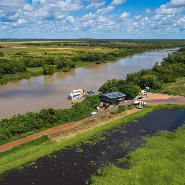 jumping croc cruise